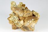 Lustrous, Yellow Apatite Crystals With Calcite & Feldspar - Morocco #185472-2